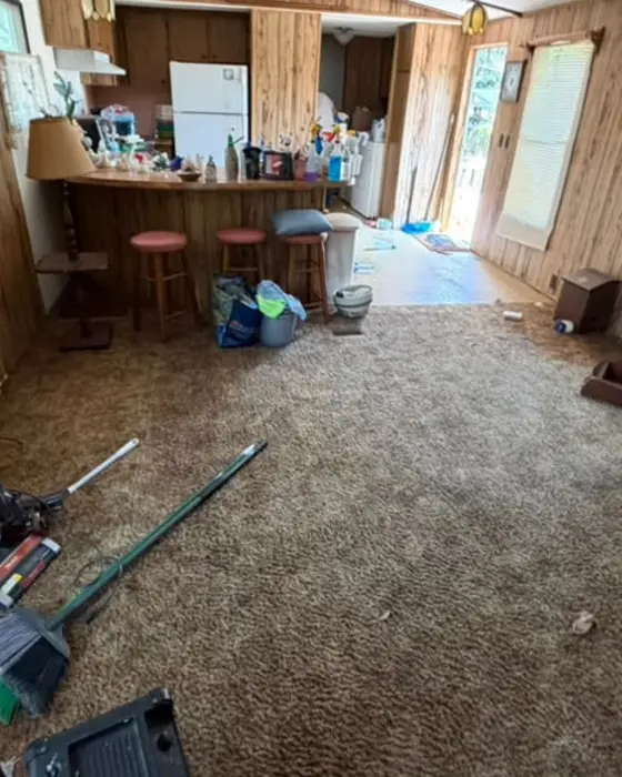 Living room with a dirty carpet, tools and things on the floor